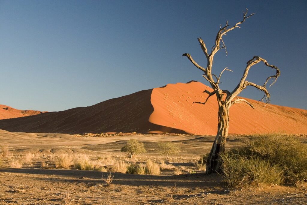 Namibia desert and coast itinerary