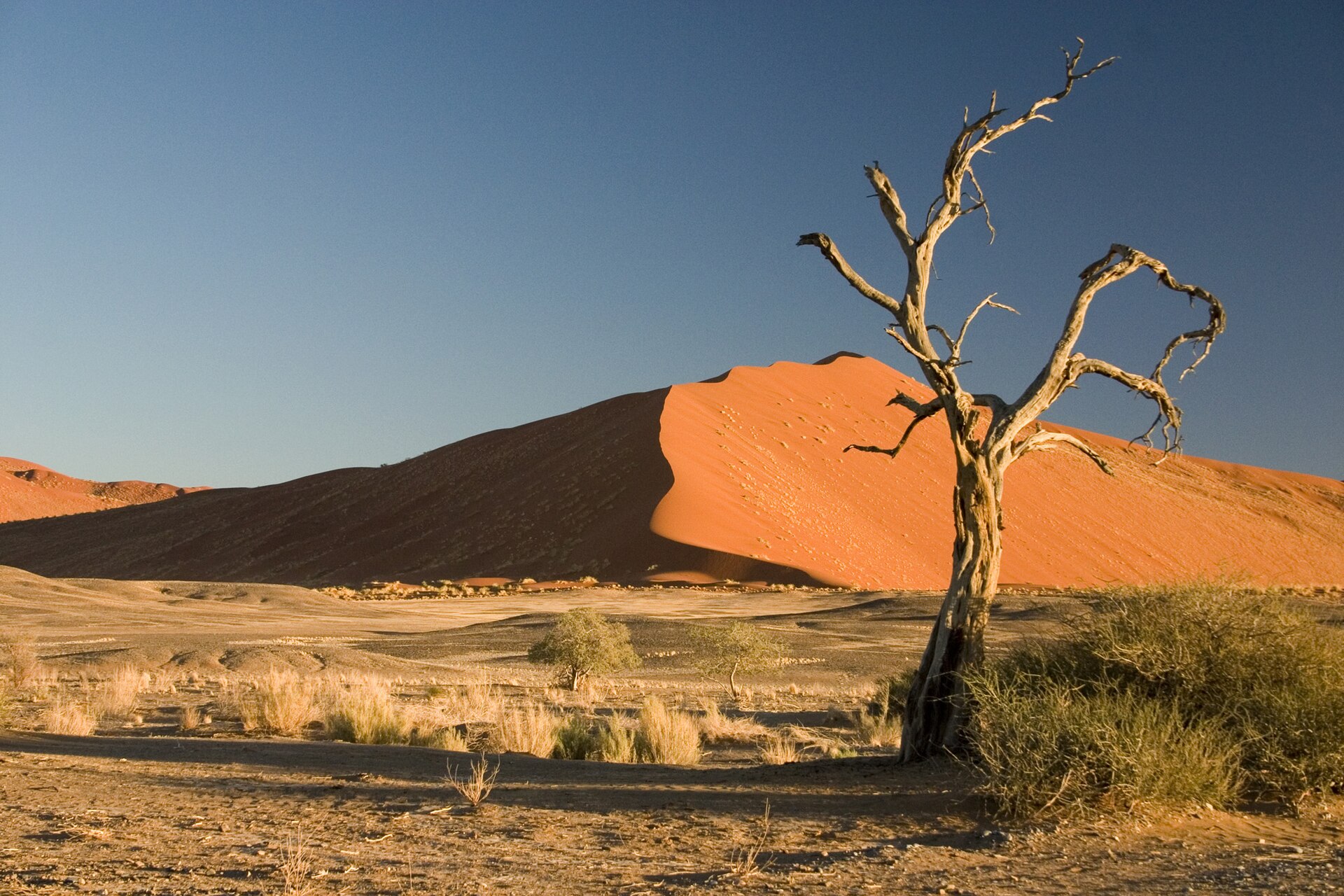 Namibia desert and coast itinerary