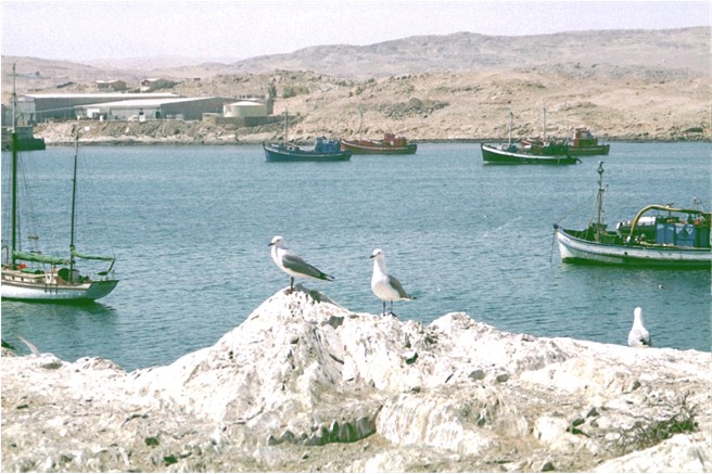 Lüderitz practical visit