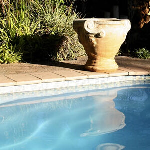 Bush Pillow Guest House