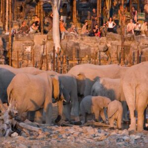 Halali Resort, Namibia