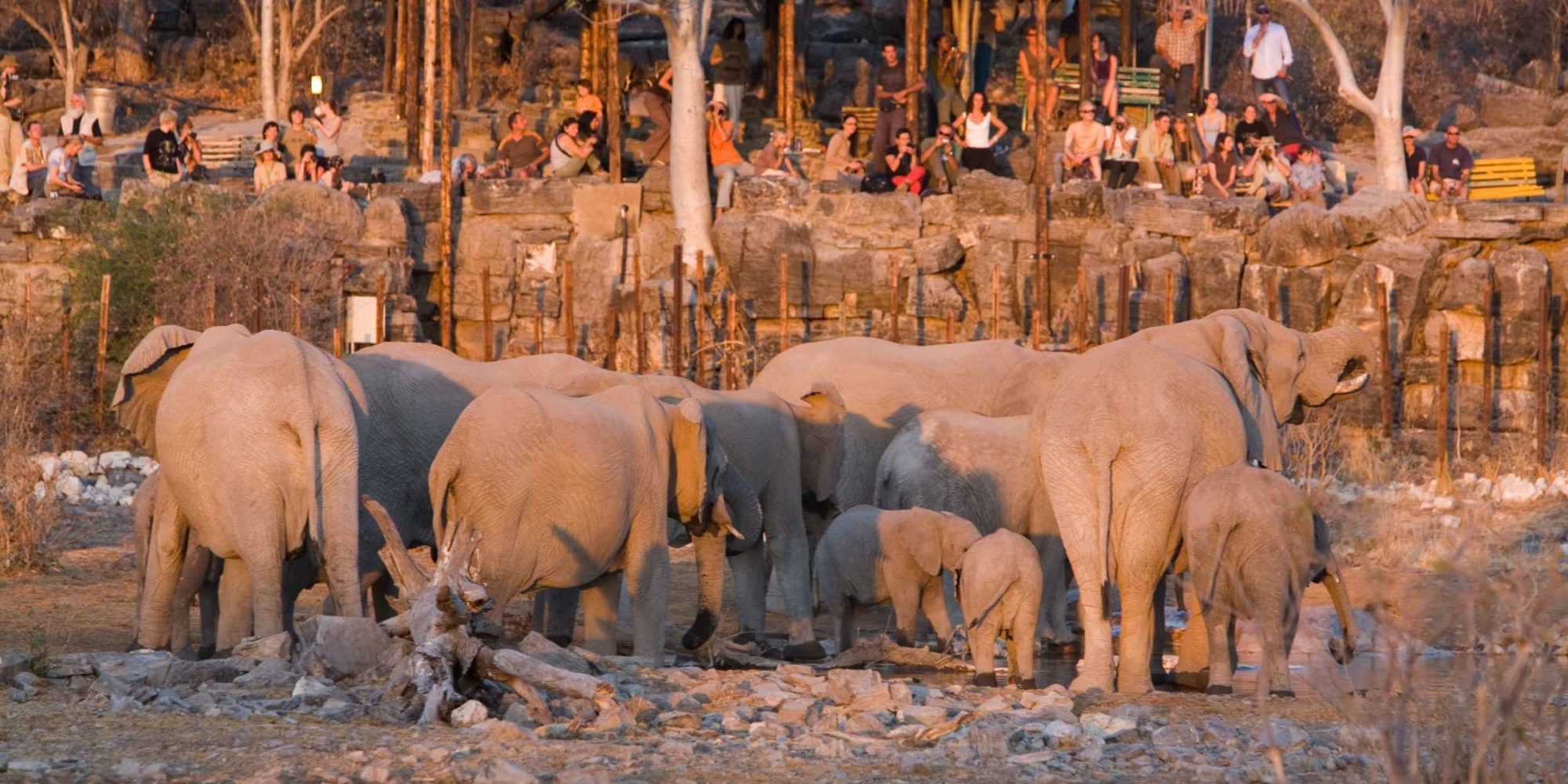 Halali Resort, Namibia