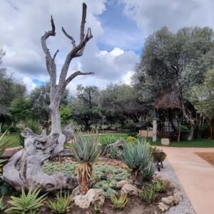 Olienhoff Guest House and Safaris CC