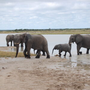 Scheidthof Guest Farm and Photo Safaris, Namibia