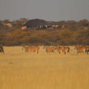 Uukwaluudhi Safari Lodge, Namibia