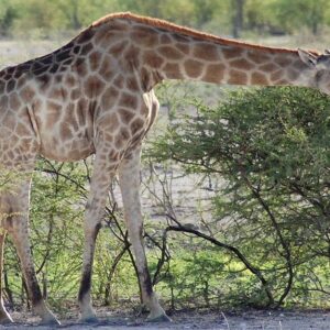 Vreugde Guest Farm, Namibia